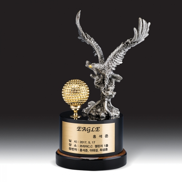 골프 트로피 HB-9207