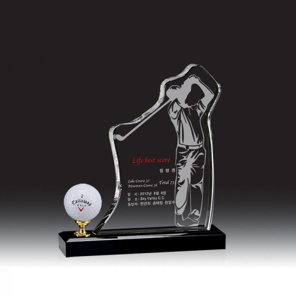 골프 트로피 HB-9094