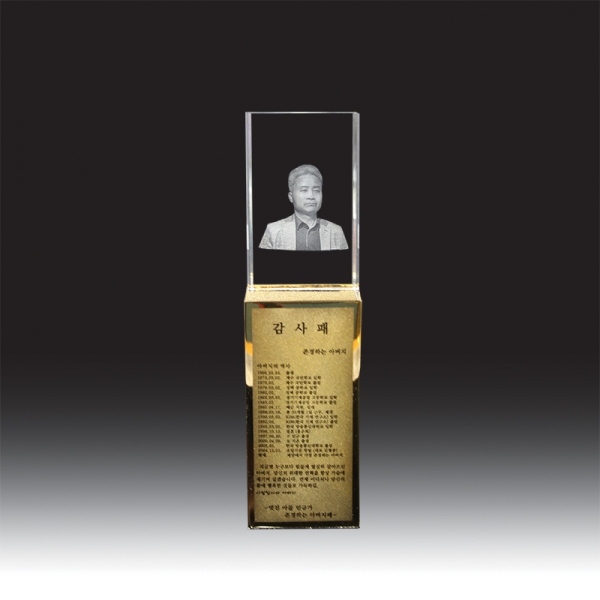 3D레이저 문진 HB-1978G